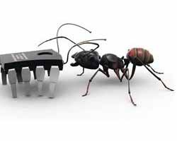 Dünyanın İlk Robot Karınca Kolonisi