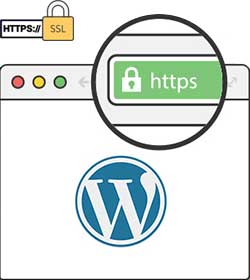 WordPress için SSL Nasıl Kurulur? WordPress HTTPS Yapımı